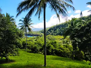 Anse waterfalls