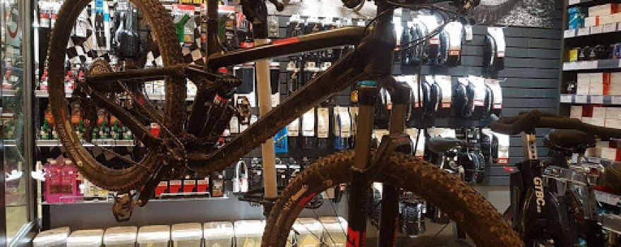 Freewheel Cycle