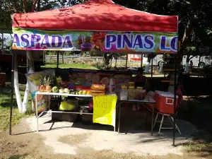 Balneario "los Pinos"