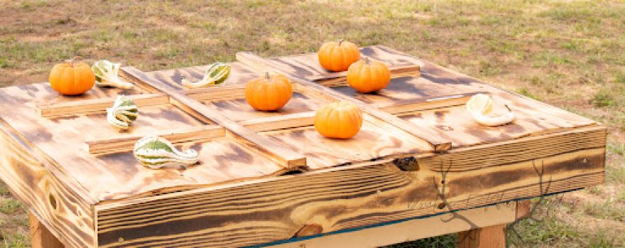 Jacksboro Pumpkin Patch