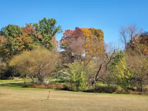 Fox Hollow Golf Club