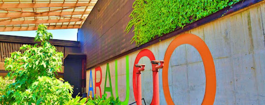 Centro Cultural Arauco.