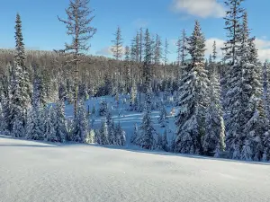 Andies Prairie Sno-Park