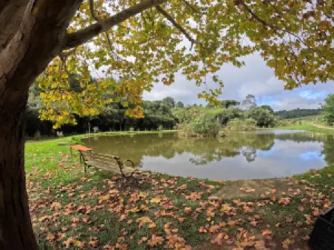 Chácara Kiwi da Serra