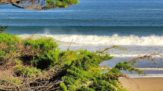 Apollo Bay