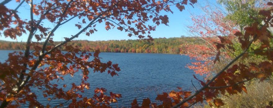 Pleasant Pond