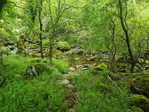Cascada del Rio Ason