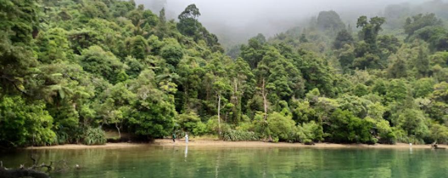 Kumutoto Bay
