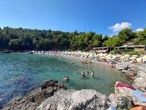 Plaža Milene Dravić