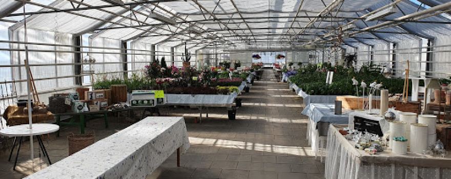 Norrlöts Handelsträdgård AB
