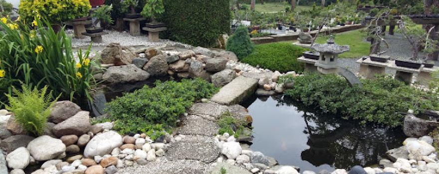 Bonsai Centrum Glaser