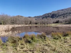Lago Urio Quattrocchi