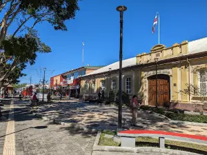 Alberto Manuel Brenes Park