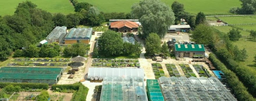 Mires Beck Nursery