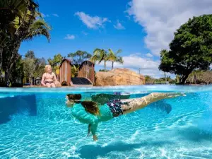 BIG4 Manning Point Holiday Park