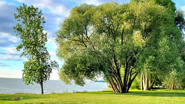 Communiversity Park UWGB