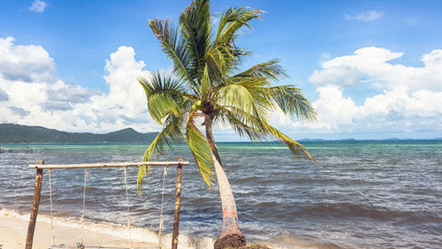 Mussel Beach grooves