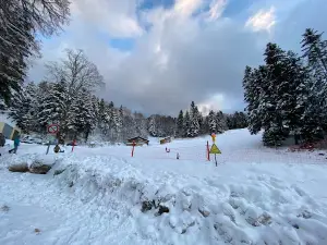 Domaine Terre-Ronde
