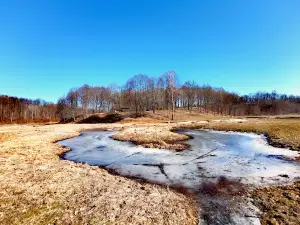 Molavėnai mound complex