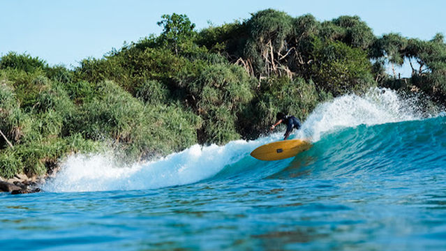 Chuty‘s Surf School Mirissa Beach