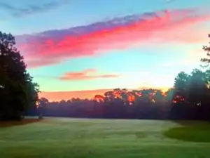Pine Forest Country Club