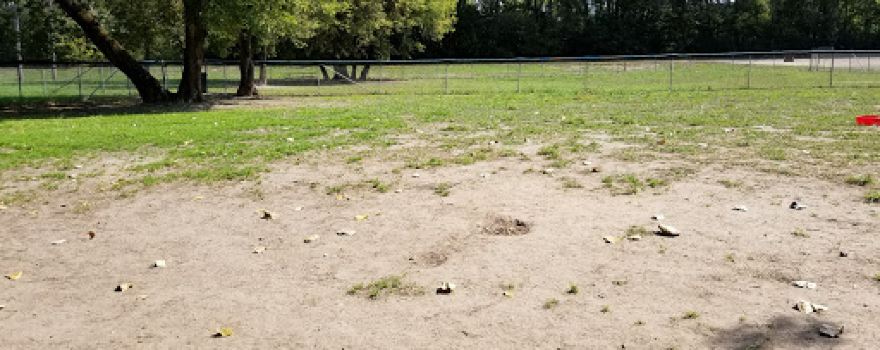 Saint Peter Dog Park