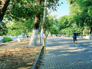 Altınoluk Halk Plajı