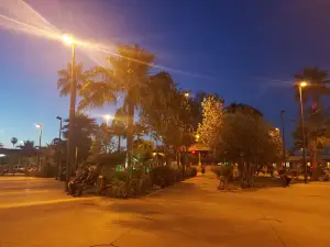 Plaza Zaragoza