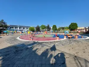 Letno kopališče Celje (ZPO Celje d.o.o.)