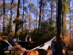 Sand Pond Campground