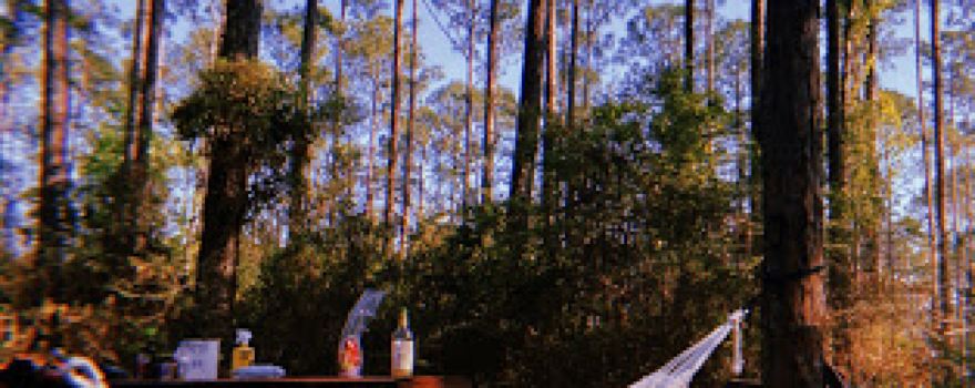 Sand Pond Campground