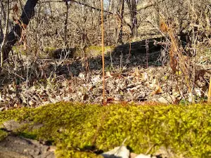 Prairie Park