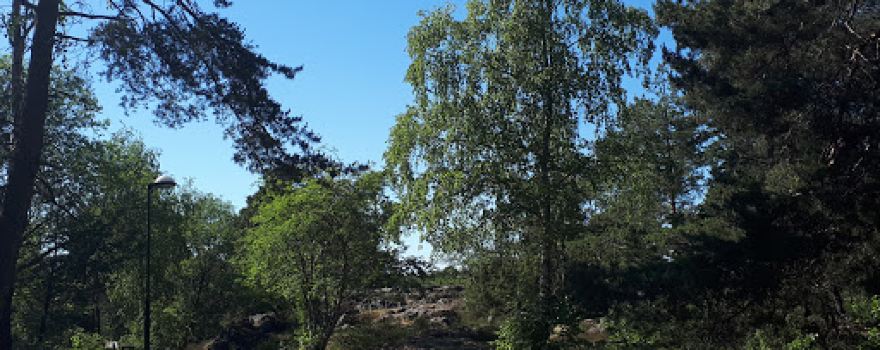 Årsta sports field
