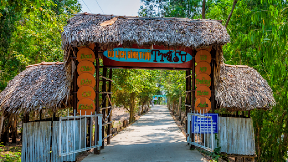 Tra Su Cajuput Forest