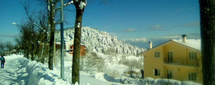 Pineta di Colle San Carlo