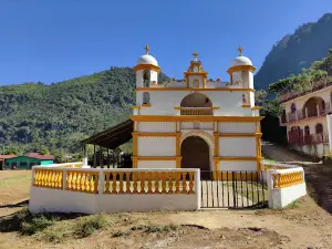 palmira vieja