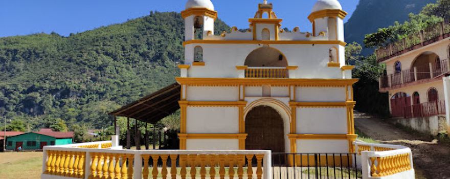 palmira vieja
