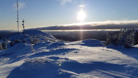 Grey Mountain Summit Trail