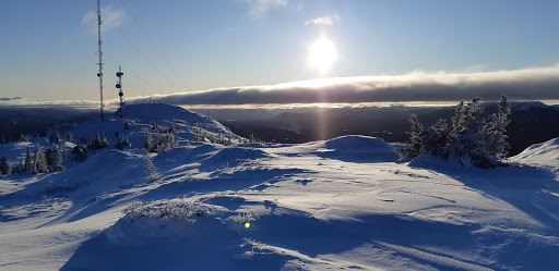 Grey Mountain Summit Trail