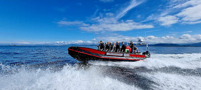 Orca Norway