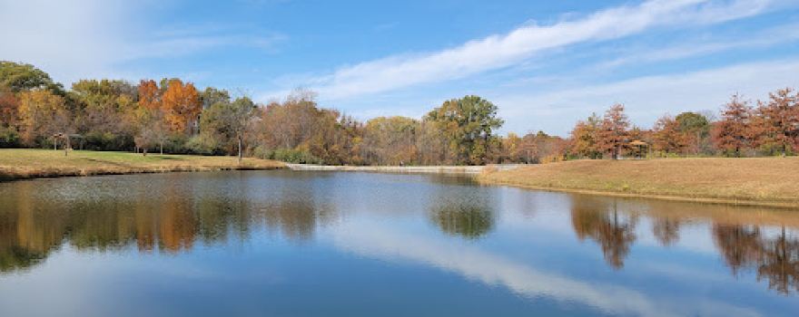 Ray M. Schon Park