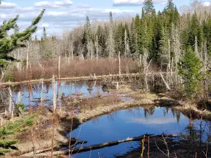 Aroostook National Wildlife Refuge Admin Building And Visitor Contact Station