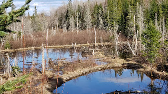 Aroostook National Wildlife Refuge Admin Building And Visitor Contact Station