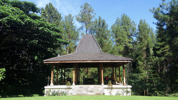 Borobudur