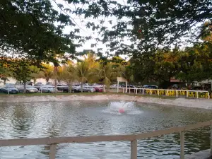 Fishing golden water