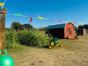 Team Family Farms