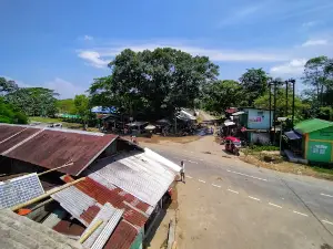 Ouphulia chariali