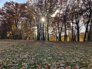 Wilber Park