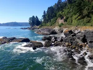 Playa de Colcura