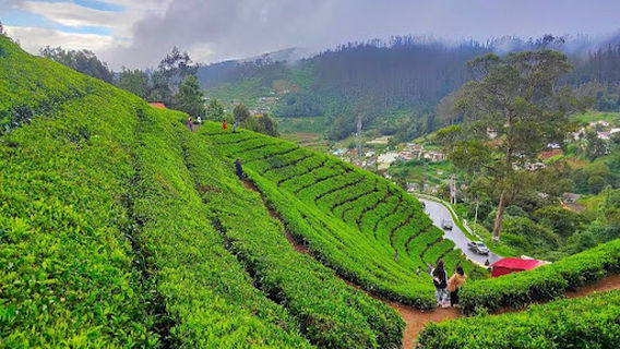 Ooty Hill Station